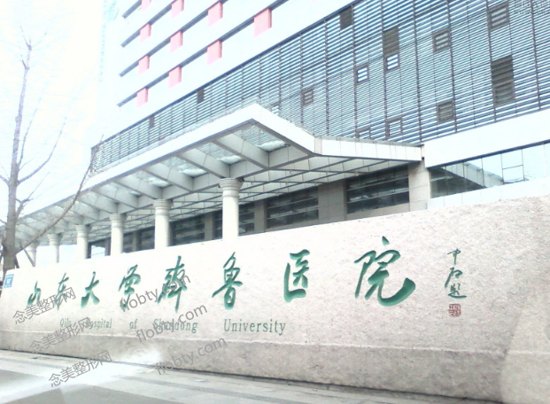 山东大学齐鲁医院